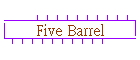 Five Barrel